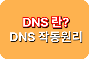 DNS 작동원리