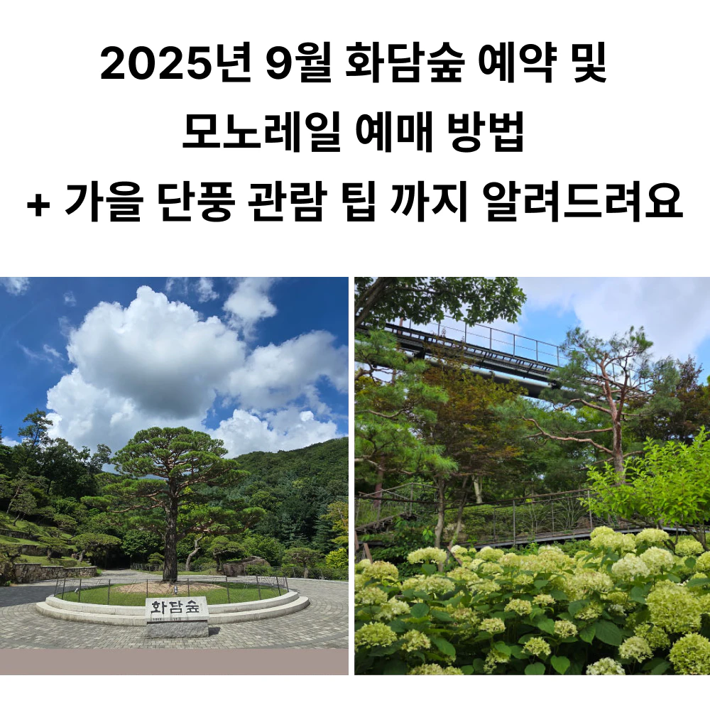 화담숲 모노레일 예약 예매 방법 가을 단풍 관람 팁